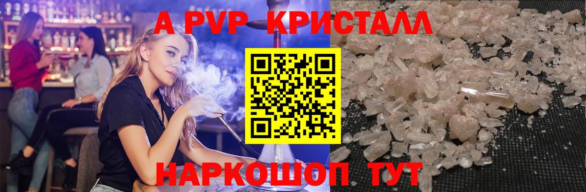 A PVP СК КРИС Юрга