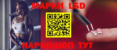 гашик Нальчик