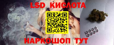 прущие грибы Мариинск