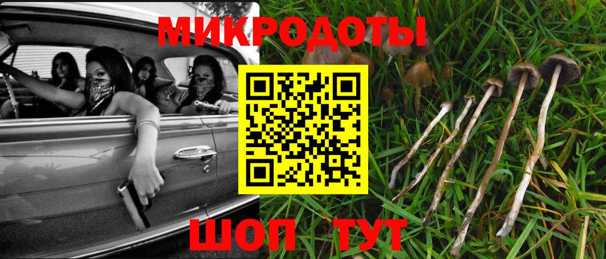 Псилоцибиновые грибы Psilocybine cubensis Юрга