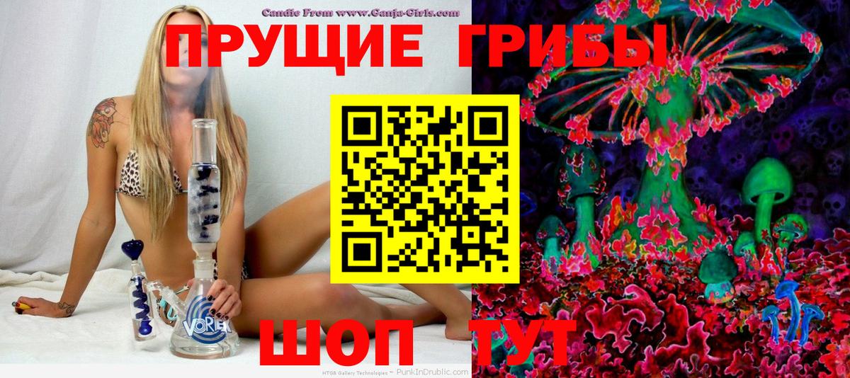 Галлюциногенные грибы MAGIC MUSHROOMS  Вход с VPN  Юрга  Галлюциногенные грибы прущие грибы 
